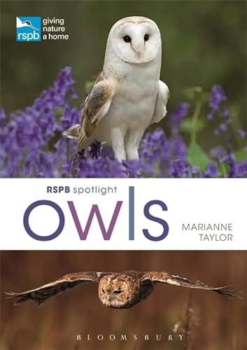 Stock image for RSPB Spotlight Owls for sale by WorldofBooks