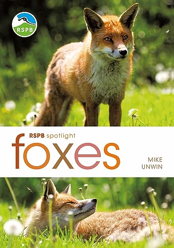 Stock image for Foxes for sale by Blackwell's