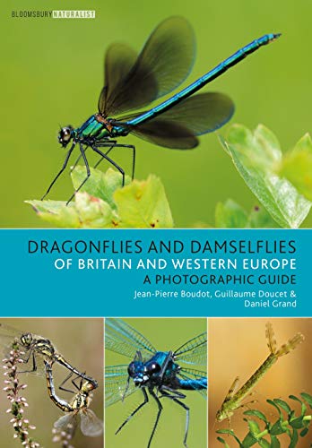 Stock image for DRAGONFLIES AND DAMSELFLIES OF BRITAIN AND WESTERN EUROPE: A PHOTOGRAPHIC GUIDE. By Jean-Pierre Boudot, Guillaume Doucet and Daniel Grand. for sale by Coch-y-Bonddu Books Ltd