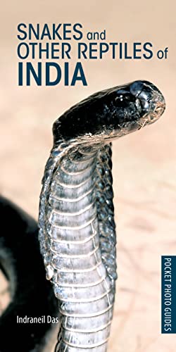 Stock image for Snakes and Other Reptiles of India (Pocket Photo Guides) for sale by WorldofBooks