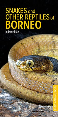 Beispielbild fr Snakes and Other Reptiles of Borneo (Pocket Photo Guides) zum Verkauf von Studibuch