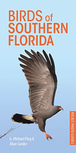9781472982551: Birds of Southern Florida (Pocket Photo Guides)