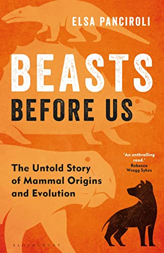Beispielbild fr Beasts Before Us: The Untold Story of Mammal Origins and Evolution zum Verkauf von Wonder Book