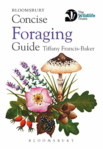 Stock image for Concise Foraging Guide Format: Paperback for sale by INDOO