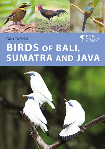 9781472986870: Birds of Bali, Sumatra and Java (Helm Wildlife Guides)
