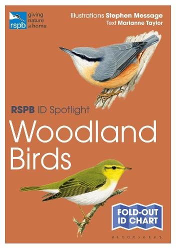 Stock image for Rspb Id Spotlight - Woodland Birds for sale by GreatBookPrices