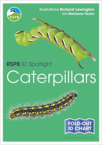 Beispielbild fr RSPB ID Spotlight - Caterpillars zum Verkauf von WorldofBooks