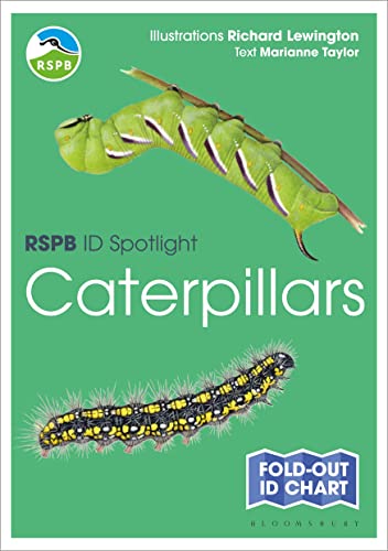 Imagen de archivo de RSPB ID Spotlight - Caterpillars a la venta por Blackwell's