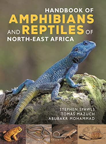 Stock image for Handbook of Amphibians and Reptiles of North-east Africa for sale by GF Books, Inc.