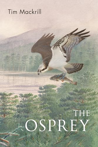 Beispielbild fr The Osprey (Poyser Monographs) zum Verkauf von Monster Bookshop