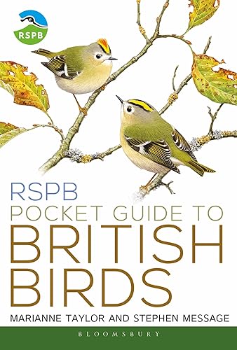 Imagen de archivo de RSPB Pocket Guide to British Birds a la venta por ZBK Books