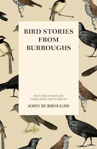 Stock image for Bird Stories from Burroughs Sketches of Bird Life Taken from the Works of John Burroughs for sale by PBShop.store US