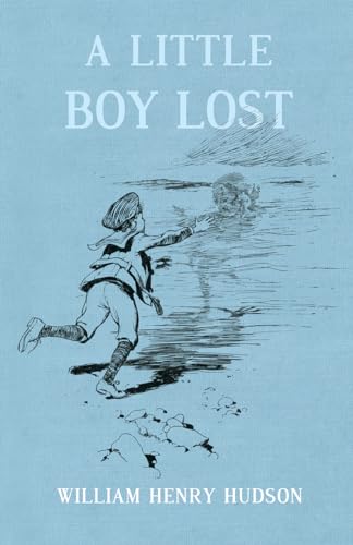 Stock image for A Little Boy Lost for sale by GF Books, Inc.