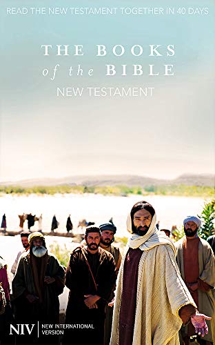 Stock image for NIV LUMO JESUS Books of the Bible: New Testament (Community Bible Experience) (New International Version) for sale by SecondSale