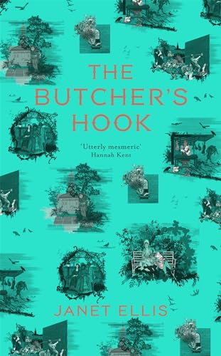 Imagen de archivo de The Butcher's Hook: a dark and twisted tale of Georgian London a la venta por WorldofBooks