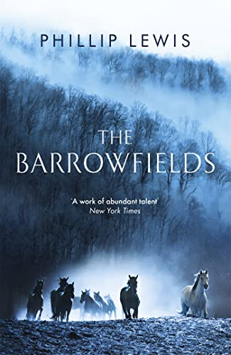 Beispielbild fr The Barrowfields zum Verkauf von WorldofBooks