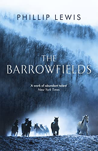 Stock image for The Barrowfields for sale by Blackwell's