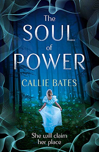 Beispielbild fr The Soul of Power (The Waking Land Series) zum Verkauf von WorldofBooks