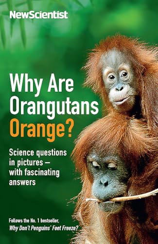 Stock image for Why Are Orangutans Orange?: Science questions in pictures -- with fascinating answers for sale by WorldofBooks