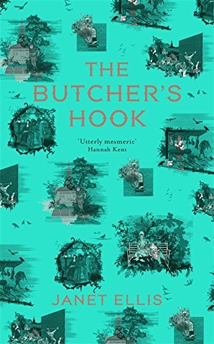 Stock image for The Butcher's Hook: Longlisted for the Desmond Elliot Prize 2016 by Janet Ellis (2016-02-25) for sale by AwesomeBooks