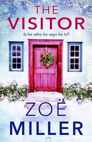 9781473664678: The Visitor: a festive, suspenseful page-turner