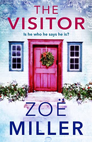 Stock image for The Visitor: a twisty, suspenseful page-turner for sale by SecondSale