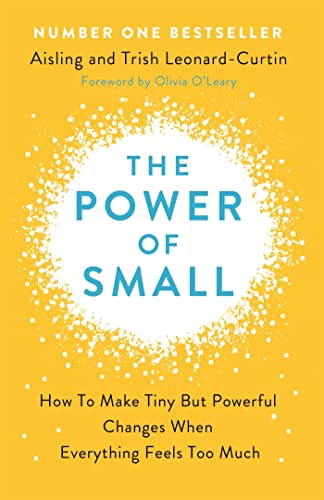 Stock image for The Power of Small: Making Tiny But Powerful Changes When Everything Feels Too Much for sale by Books Unplugged