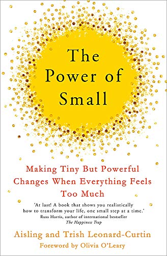 Stock image for The Power of Small : Making Tiny but Powerful Changes When Everything Feels Too Much for sale by Better World Books Ltd