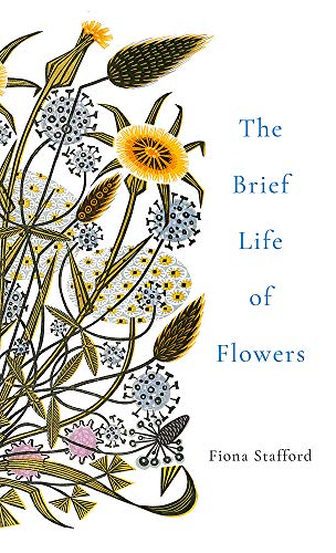 Beispielbild fr The Brief Life of Flowers zum Verkauf von WorldofBooks