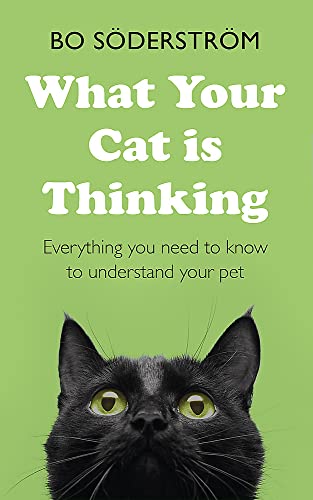 Imagen de archivo de What Your Cat Is Thinking: Everything you need to know to understand your pet a la venta por AwesomeBooks