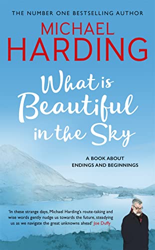 Beispielbild fr What is Beautiful in the Sky: A book about endings and beginnings zum Verkauf von WorldofBooks
