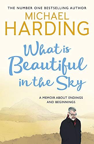 Beispielbild fr What is Beautiful in the Sky: A book about endings and beginnings zum Verkauf von WorldofBooks