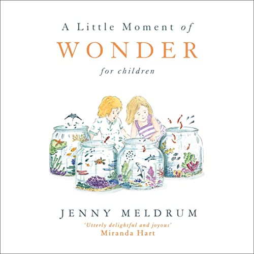 Stock image for A Little Moment of Wonder for Children (Little Moments for Children) for sale by ThriftBooks-Dallas