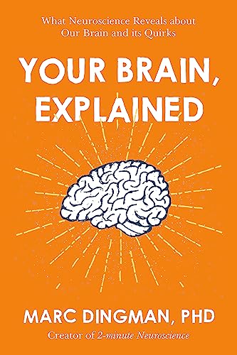 Beispielbild fr Your Brain, Explained: What Neuroscience Reveals About Your Brain and its Quirks zum Verkauf von BooksRun