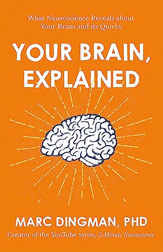 Beispielbild fr Your Brain, Explained: What Neuroscience Reveals About Your Brain and its Quirks zum Verkauf von BooksRun