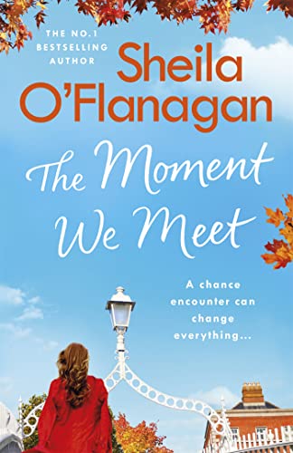 Imagen de archivo de The Moment We Meet a la venta por Brook Bookstore