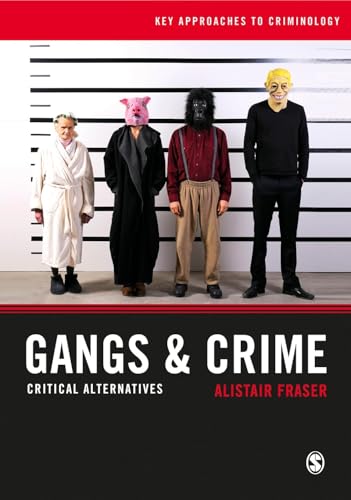 Beispielbild fr Gangs & Crime: Critical Alternatives (Key Approaches to Criminology) zum Verkauf von WorldofBooks