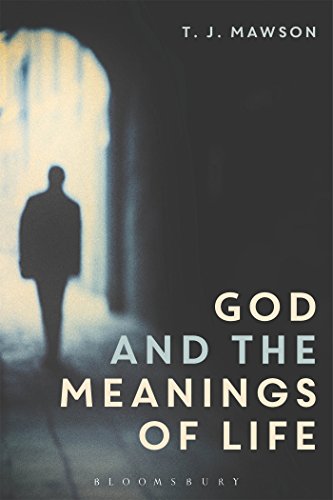 Stock image for God and The Meanings of Life: What God Could and Couldn't do to Make Our Lives More Meaningful for sale by Plum Books