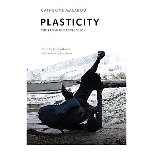 Stock image for Plasticity : The Promise of Explosion for sale by GreatBookPrices