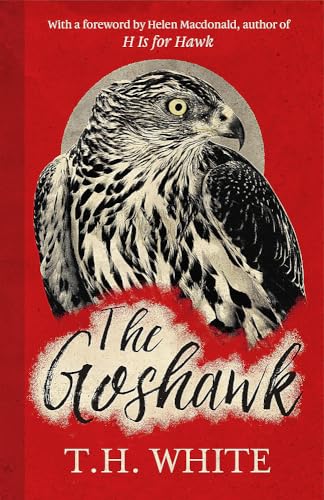 Beispielbild fr The Goshawk zum Verkauf von Blackwell's