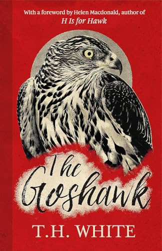 9781474601665: The Goshawk: With a new foreword by Helen Macdonald: With a foreword by Helen Macdonald