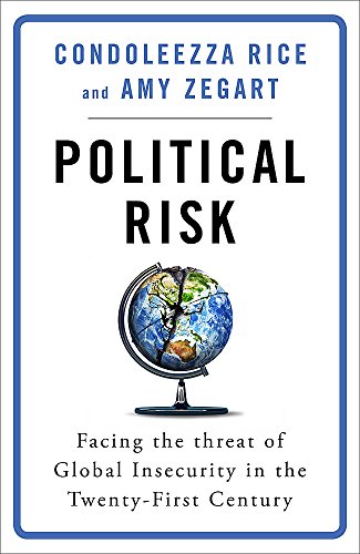 Imagen de archivo de Political Risk a la venta por AwesomeBooks