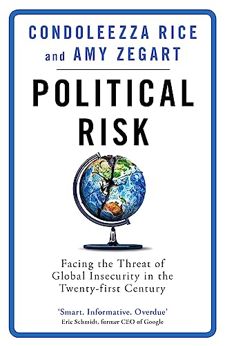 Beispielbild fr Political Risk: Facing the Threat of Global Insecurity in the Twenty-First Century zum Verkauf von HPB-Emerald