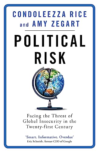 Stock image for Political Risk : Facing the Threat of Global Insecurity in the Twenty-First Century for sale by Better World Books