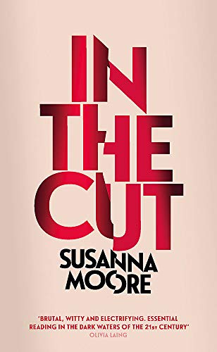 Stock image for In the Cut (W&N Essentials) for sale by WorldofBooks