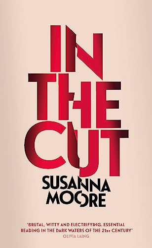 Stock image for In the Cut: With an introduction by Olivia Sudjic (W&N Essentials) for sale by WorldofBooks