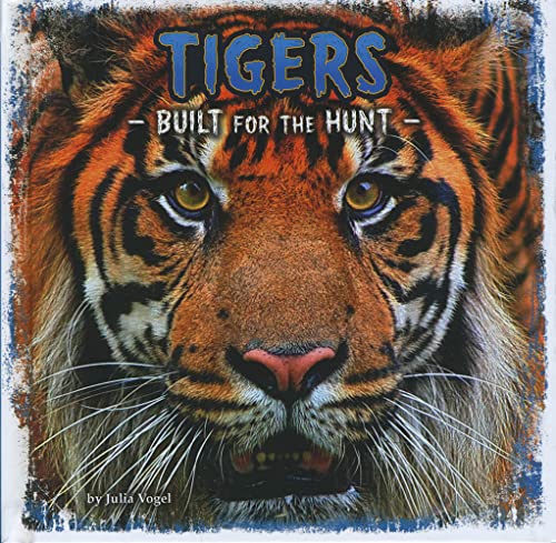 9781474701952: Tigers: Built for the Hunt (Predator Profiles)