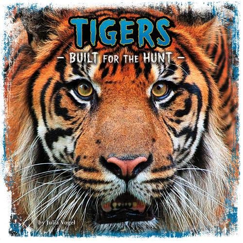 Imagen de archivo de Tigers : Built for the Hunt a la venta por Better World Books Ltd