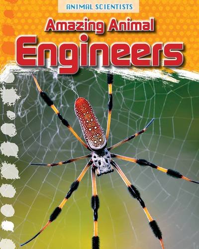 9781474702157: Amazing Animal Engineers (Animal Scientists)