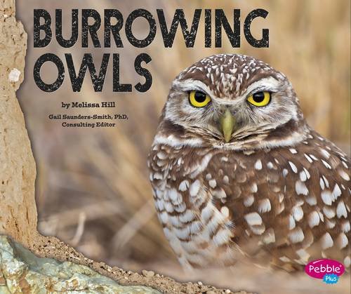 Beispielbild fr Burrowing Owls zum Verkauf von WorldofBooks